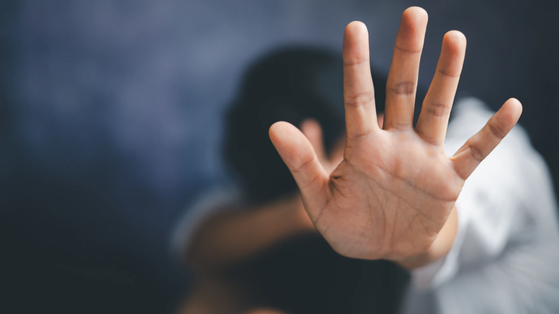 Raleigh Simple Assault Lawyer