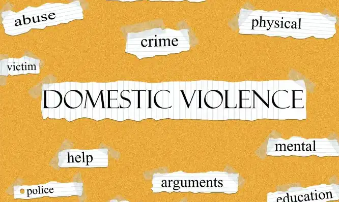 Domestic Violence Law Graphic